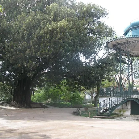Estrela Heart * Lisbon